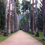 boncoin des voyageurs